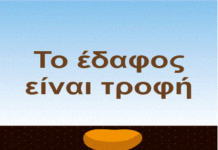 Την Παγκόσμια Ημέρα του Εδάφους, 430 οργανώσεις ζητούν από την Ε.Ε.