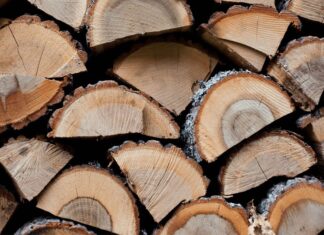 Διάθεση καυσόξυλων από το Δήμο Νέας Ιωνίας …