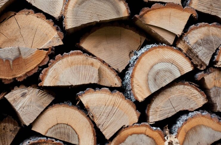 Διάθεση καυσόξυλων από το Δήμο Νέας Ιωνίας …