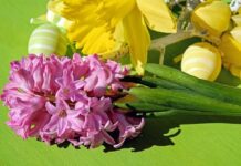 TMPRESS: ΧΡΟΝΙΑ ΠΟΛΛΑ ΚΑΙ ΚΑΛΟ ΠΑΣΧΑ.