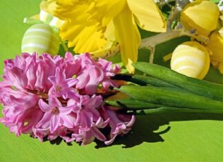 TMPRESS: ΧΡΟΝΙΑ ΠΟΛΛΑ ΚΑΙ ΚΑΛΟ ΠΑΣΧΑ.