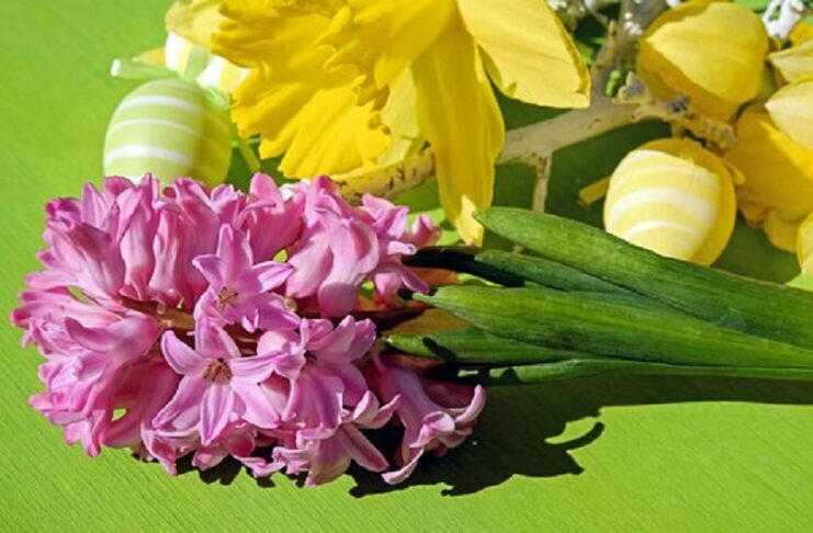 TMPRESS: ΧΡΟΝΙΑ ΠΟΛΛΑ ΚΑΙ ΚΑΛΟ ΠΑΣΧΑ.